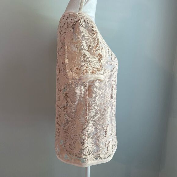 Loft Cream Sheer Blouse - Picture 4 of 4